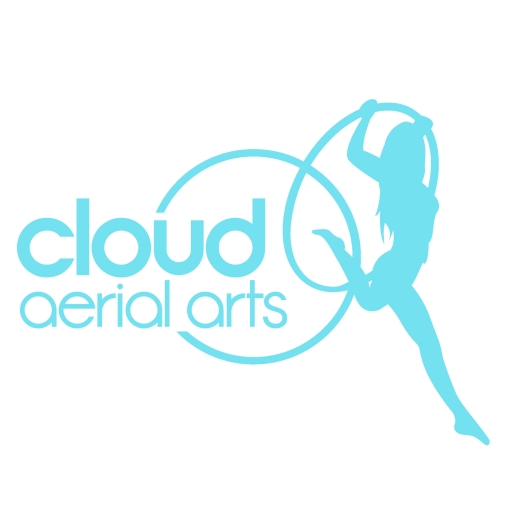Cloud Aerial Arts profile picture