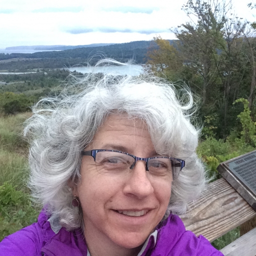Photo de profil de Leslie Sobel