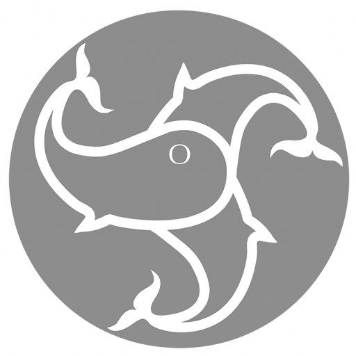 triQita profile picture