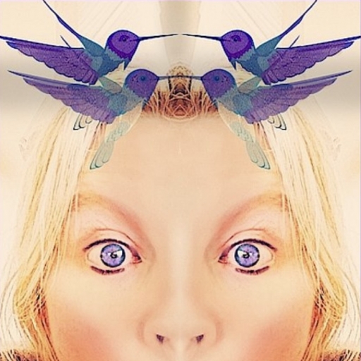 Priscilla photo