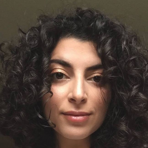 noor shirazie profile picture