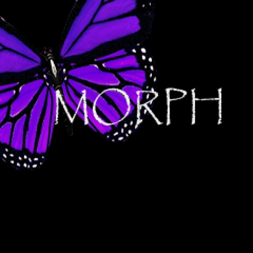 Linnea L. Tober, Metamorphosis Gallery profile picture