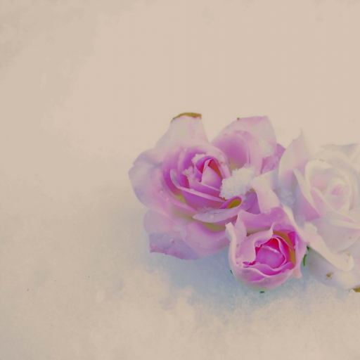 Photo de profil de Pat Irwin Photography
