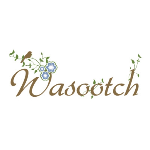 Wasootch profile picture