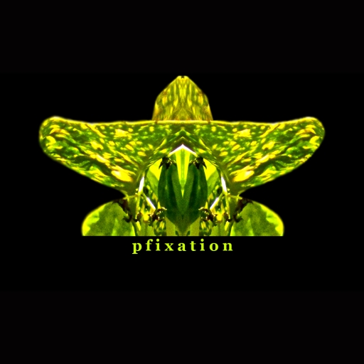 pfixation picture