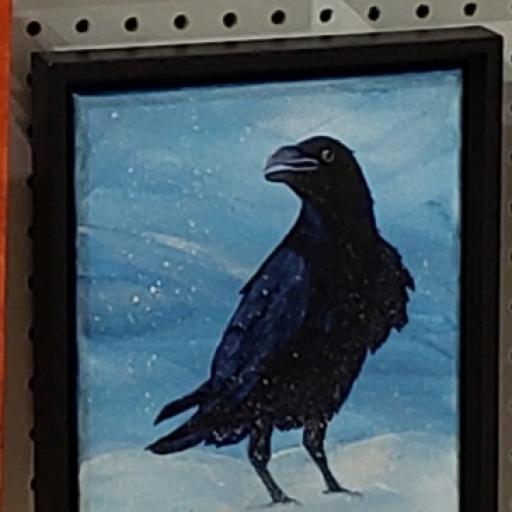 Photo de profil de Wild Crow Studio