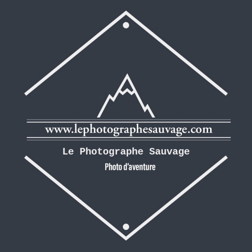 Le Photographe sauvage picture