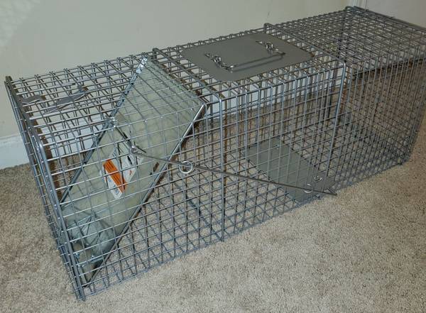 CountyLine 1-Door Catch-and-Release Live Animal Trap, 32 In. X 10 In ...