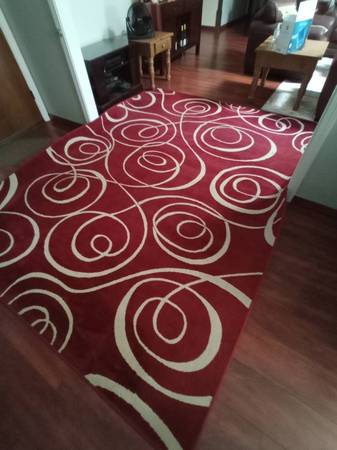 Photo Area Rug 7 Ft x 10 ft $50