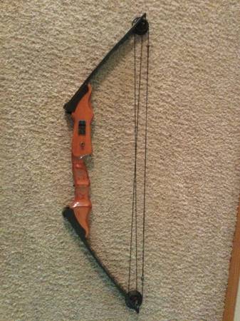 Left handed compound bow $175