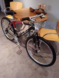 Giant eddie bauer online mountain bike