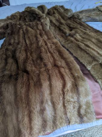 Photo Mink Coat from Higbees $35