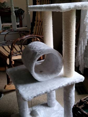 Photo brand new cat tree. 36inches high $35