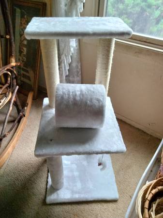 Photo brand new cat tree. six pictures $35