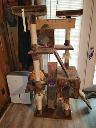 Photo Cat Tree - Going To Dump This Weekend