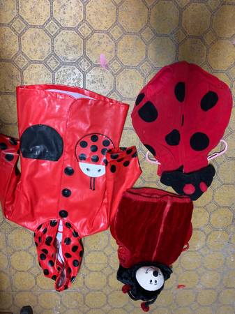 Photo Lady Bug Costumes $6