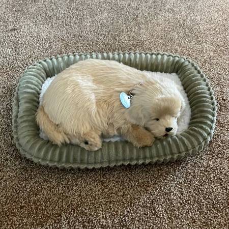 Photo Perfect Petzzz lifelike sleeping dog in bed $30