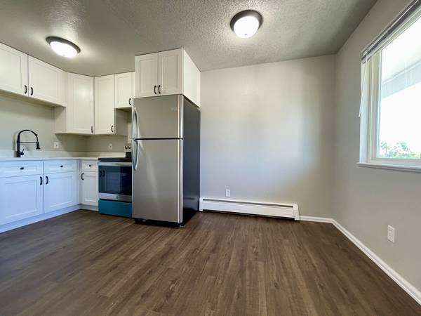 Newly Renovated 1 Bedroom near Sloans Lake and Alamo Drafthouse $1,520