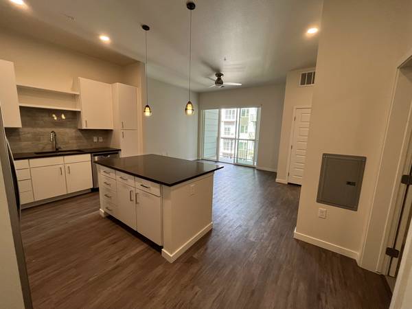 Charming River North 2 Bed 2 Bath  Luxurious RiNo River North LoDo $2,902