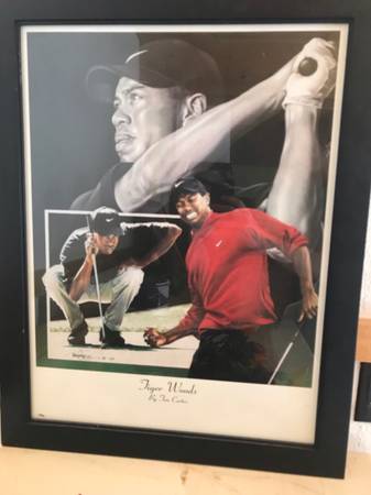Photo framed tiger woods picture