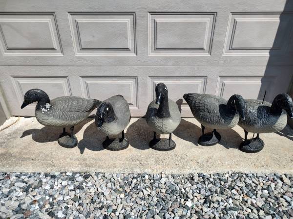 Photo 5 Big foot geese decoys $40