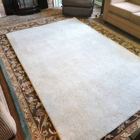 Photo Carpet  Area Rug - 6 x 9 ft $45