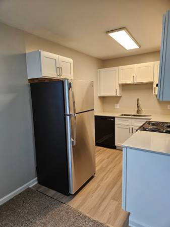 Newly Renovated Bright Beautiful One Bedroom Apartment $1,127
