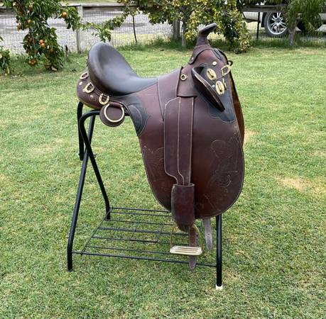 Photo Aussie Saddle whorn $200