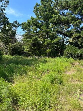 Photo 3.64 acres 297 County Rd. 2112 Daingerfield Texas good for Mobile homes or RV $36,400
