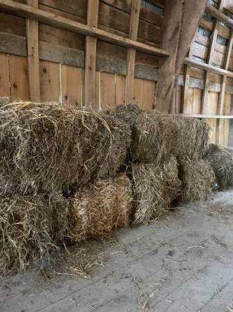 Photo Small Square Bales (OLD HAY) for Bedding $2
