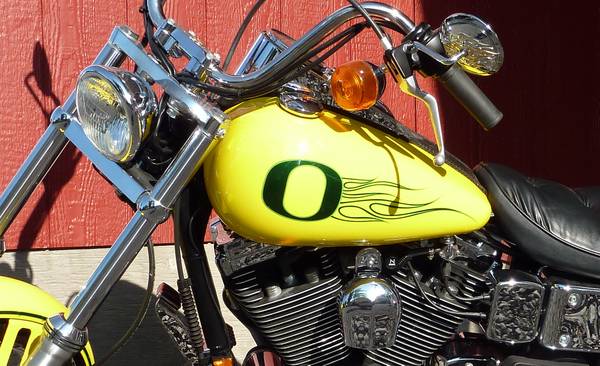 Photo Harley Davidson Oregon duck paint job $7,500