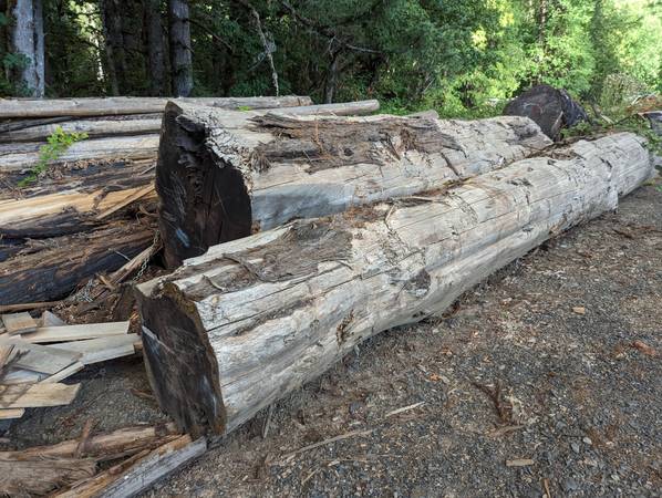 Photo Saw logs for sale - cedar, for, redwood, sequoia, maple $1