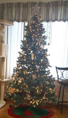 7 Foot Lighted Christmas Tree Lightly Frosted $25