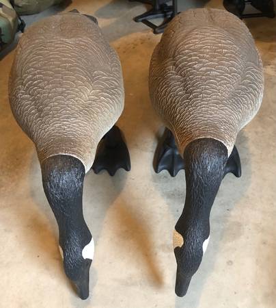 Photo Bigfoot Canadian goose decoys $450