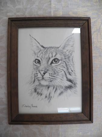 J Sharkey Thomas Wild Cat Print $20
