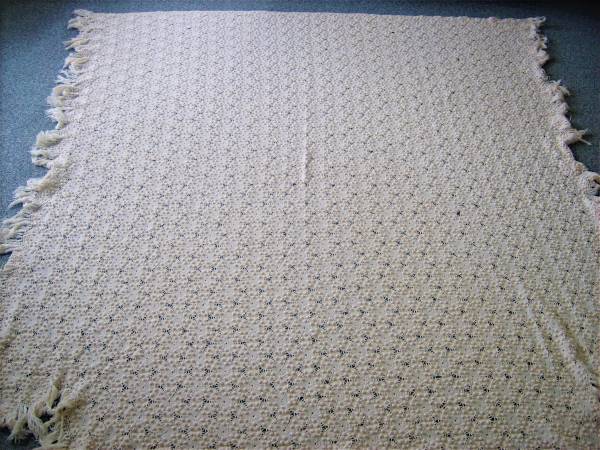 Photo Great White Lace Bedspread - $20 (williamsport, pa 17701)