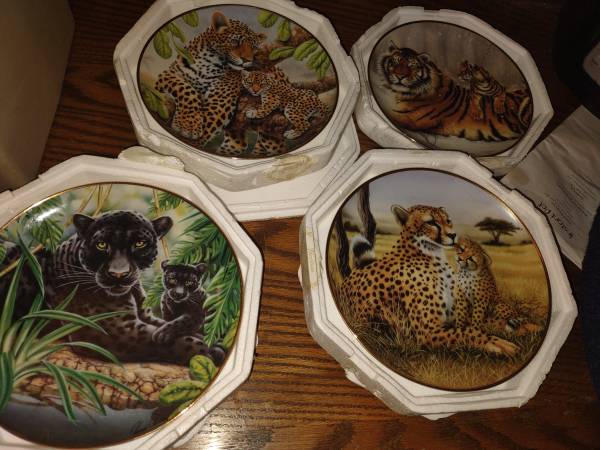Wild Cat Collection Plates $10