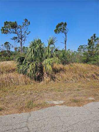 Photo INVESTOR ALERT - SW Florida - Multi Family Land in North Port $36,000