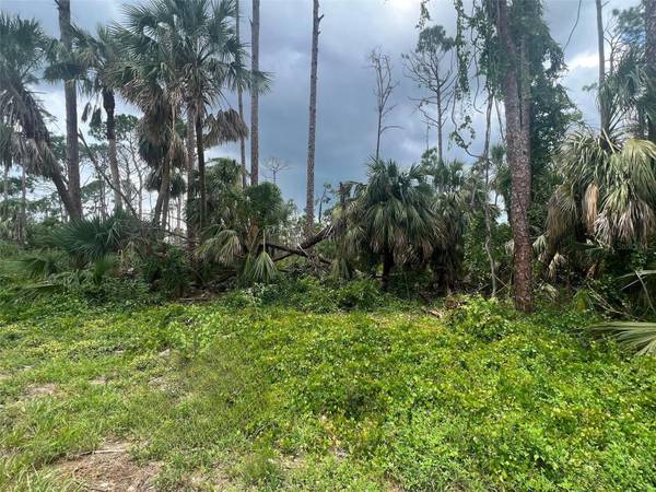 Land in Port Charlotte in Booming Area Buy now to build $22,000