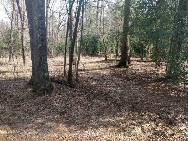10 Acres, Electric, Well, Septic, Rent to Own, Owner Financing