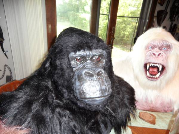 Photo gorilla  bigfoot shoulder mount taxidermy $1,500