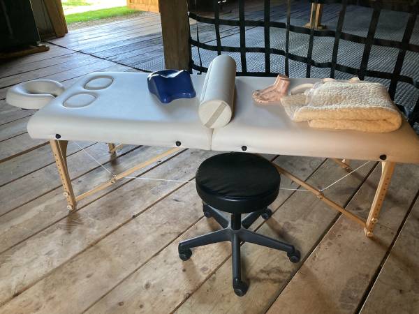 Photo Professional Massage table $150
