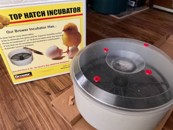 Photo Brower top hatch incubator $75