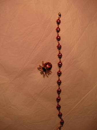 Photo Lady Bug Fashion jewelry $20