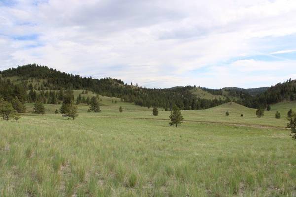 Photo 5.3 ac Land For Sale, Trees, Year-round, Pasture, Near Fishing (Wolf Creek, MT)