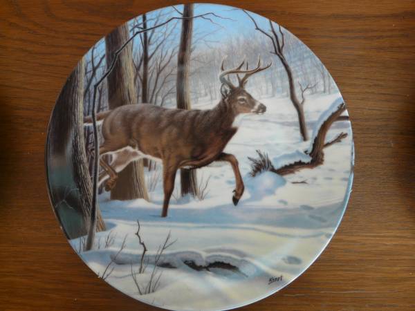 Photo whitetail deer plate $5