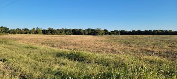 Where the heart is - Land in Grand Saline. 0 Beds, 0 Baths $856,800