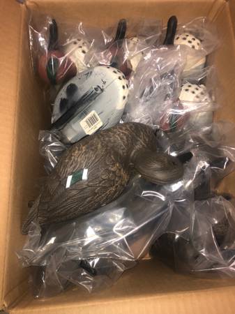Photo duck decoys - REDUCED- Most. $4.00 each (4 coot $3.00 each) $4