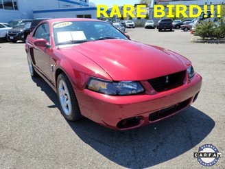 Photo Used 2003 Ford Mustang Cobra for sale