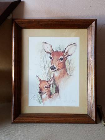 Photo Whitetail Deer Doe with Fawn by Paul Whitney Hunter $20